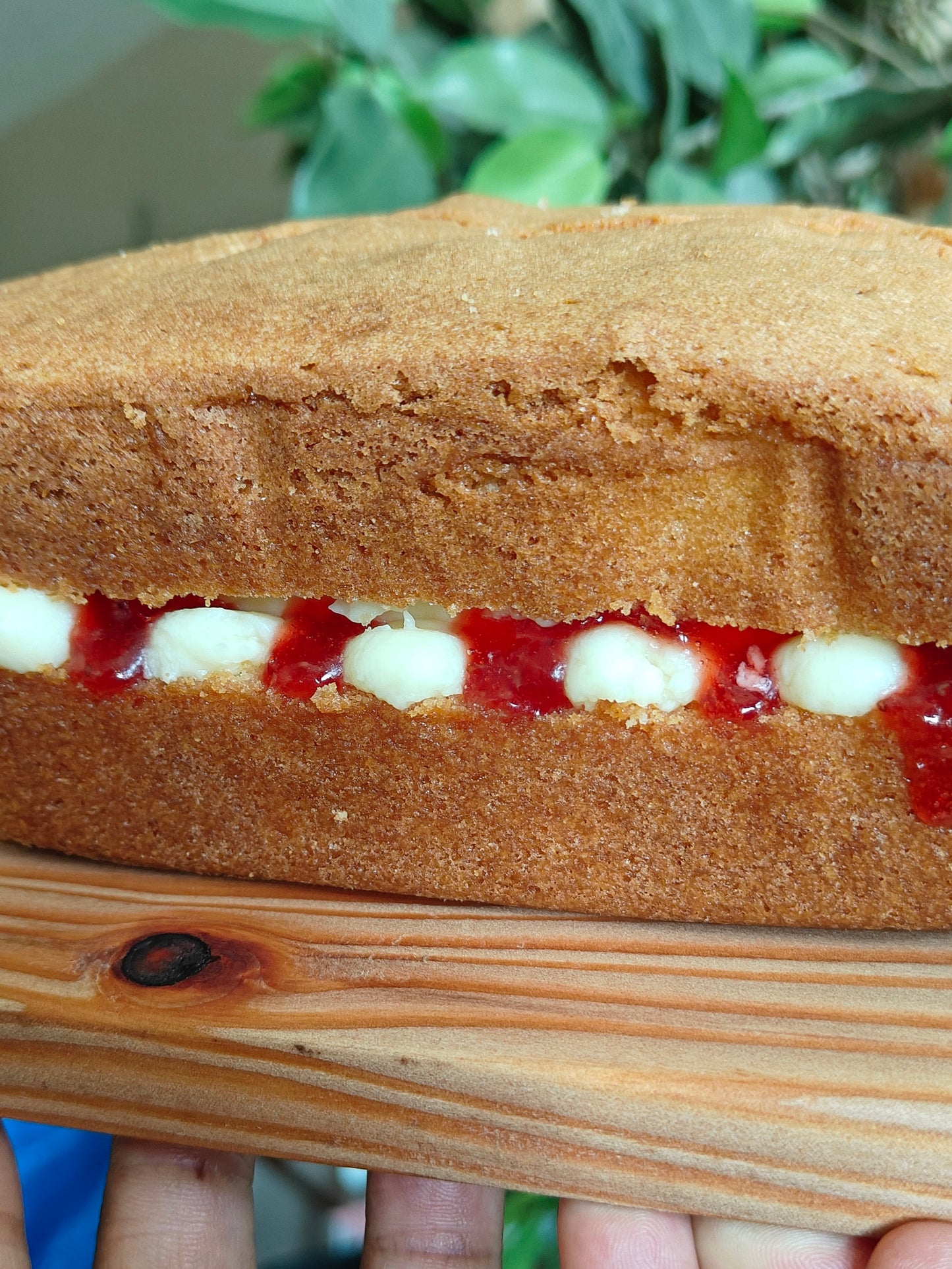Victoria Sponge Loaf cake with mascarpone buttercream filling and bonne maman strawberry jam on a wooden board, held by two hands with a blurred foliage background.