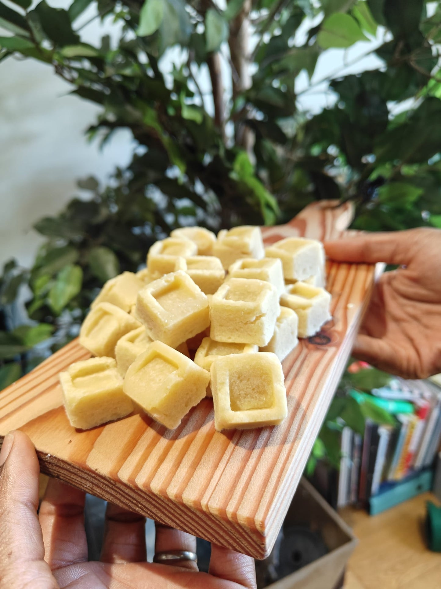 A close-up of small pale yellow square shortbread piled on a wooden board, held by hands in front of a blurred background of green indoor plants.